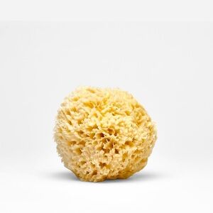 Natural Sea Sponge Facial Cleaning